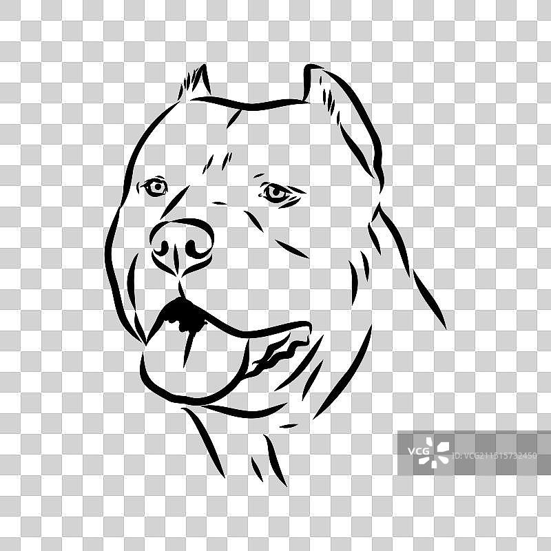 复古手绘美国獒犬草图图片素材