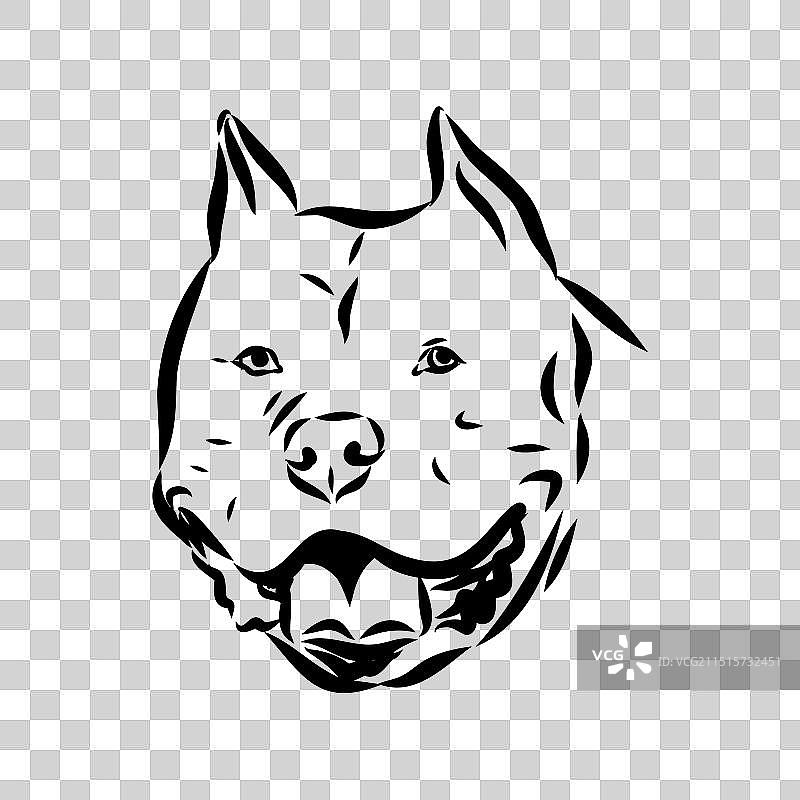 复古手绘美国獒犬草图图片素材