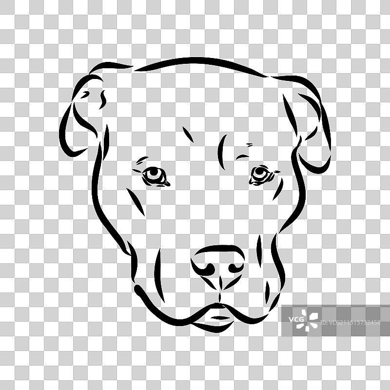 复古手绘美国獒犬草图图片素材