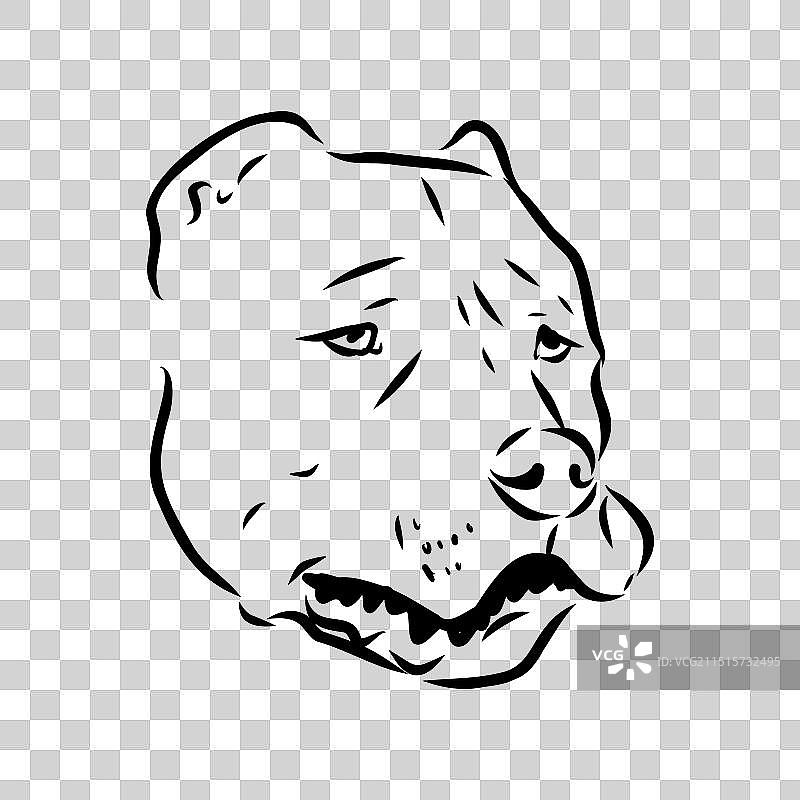 复古手绘美国獒犬草图图片素材