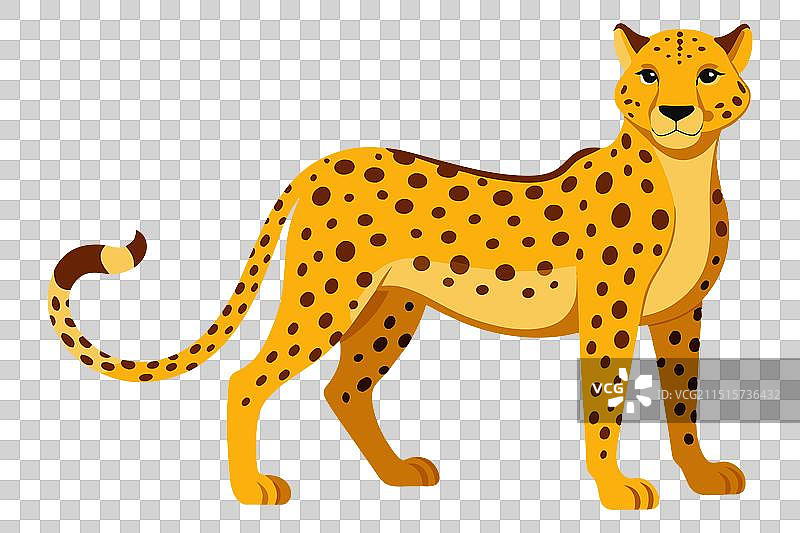 白色背景上的猎豹连续矢量图图片素材