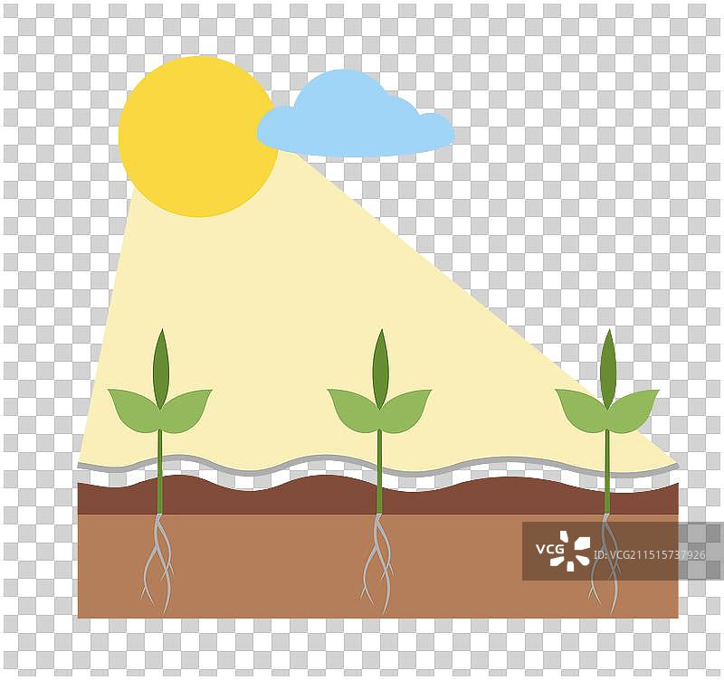 阳光下生长的幼苗图片素材