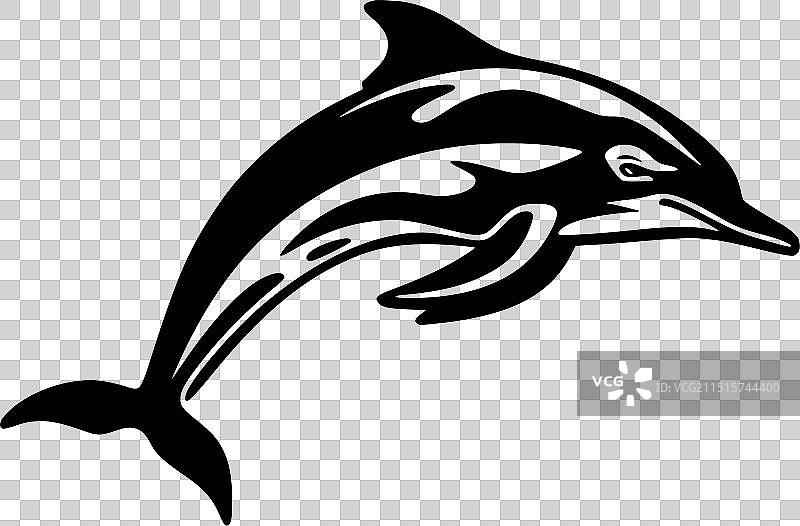 黑白海豚图片素材