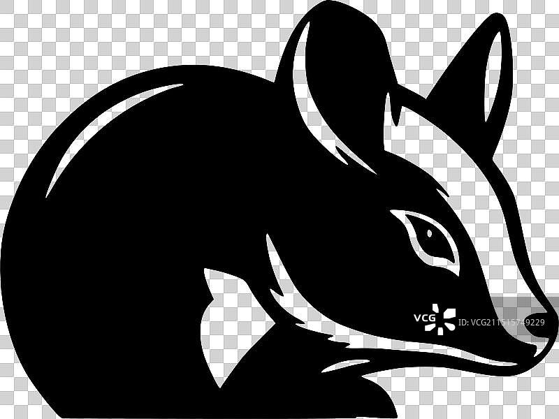 黑白条纹臭鼬隔离图标图片素材