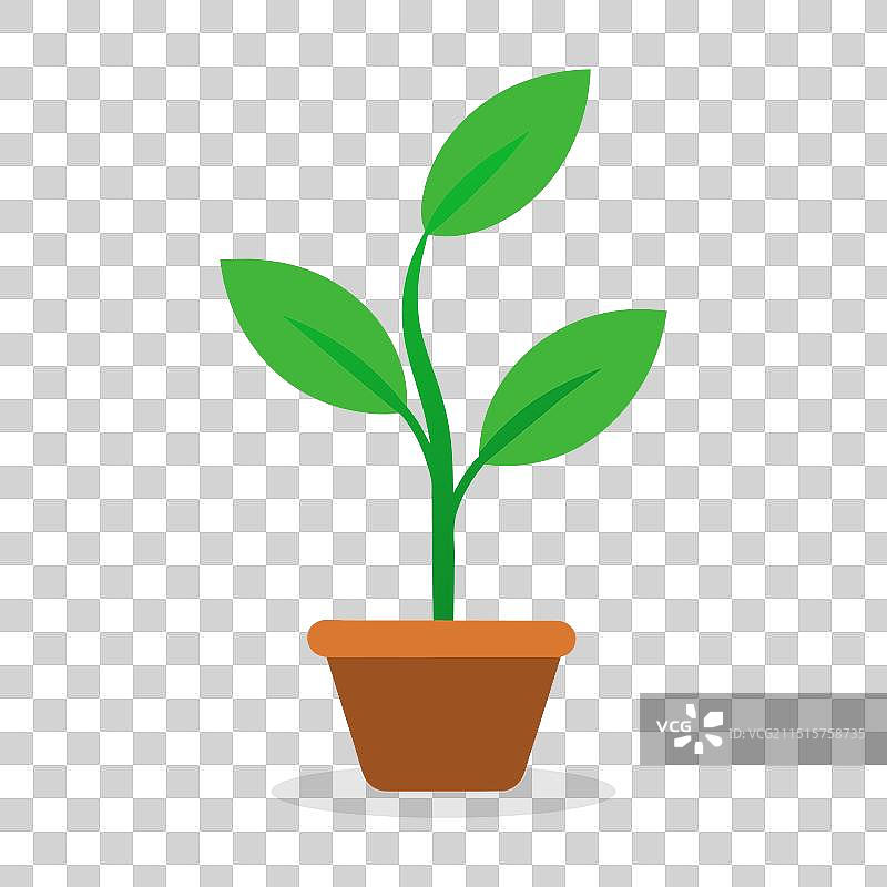 白色背景上的小树图片素材