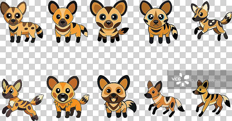 非洲野犬设计图片素材