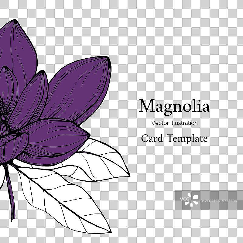 植物花卉婚礼邀请卡图片素材