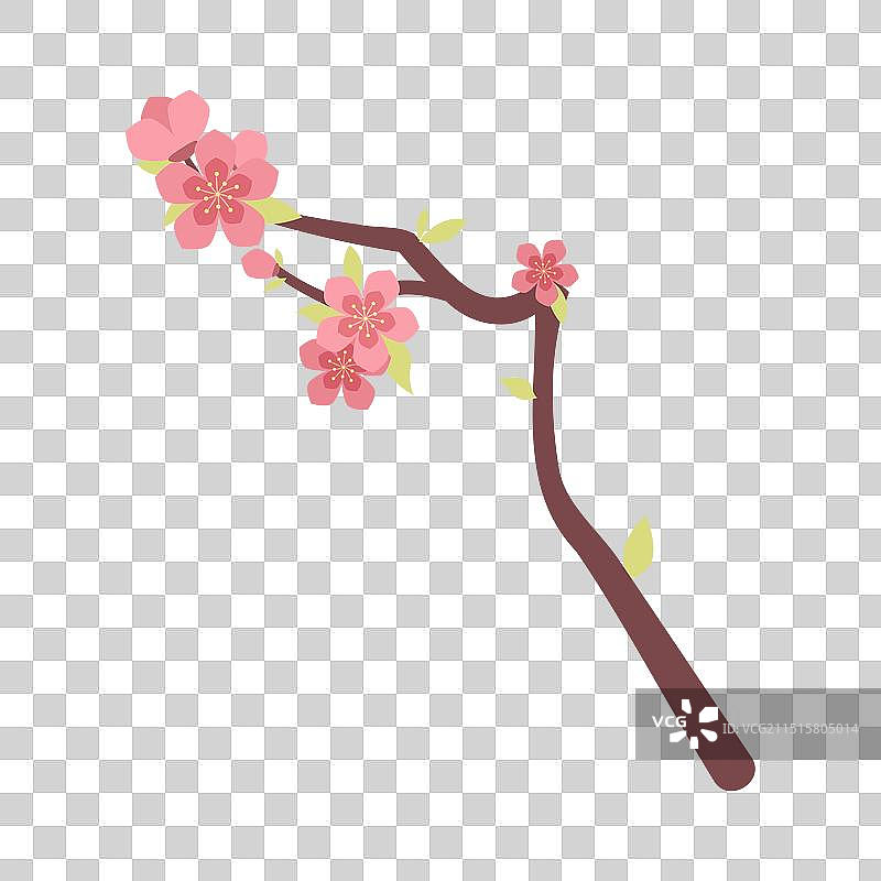 桃花树枝图片素材