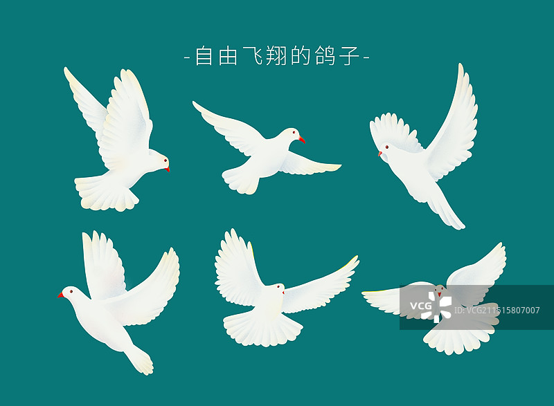 自由飞翔的鸽子图片素材