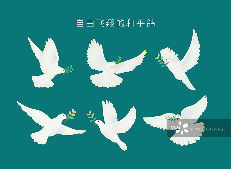 自由飞翔的和平鸽图片素材