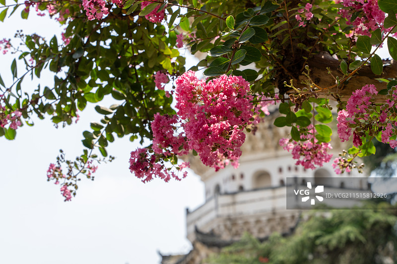 三祖寺图片素材