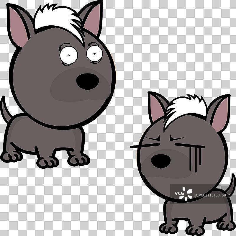 有趣的小大头墨西哥无毛犬表情图片素材