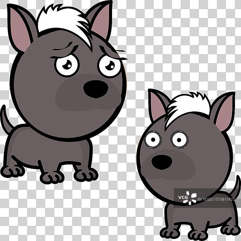 有趣的小大头墨西哥无毛犬表情图片素材