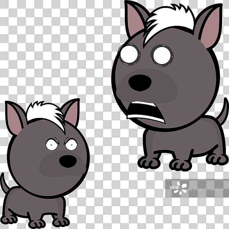 有趣的小大头墨西哥无毛犬表情图片素材