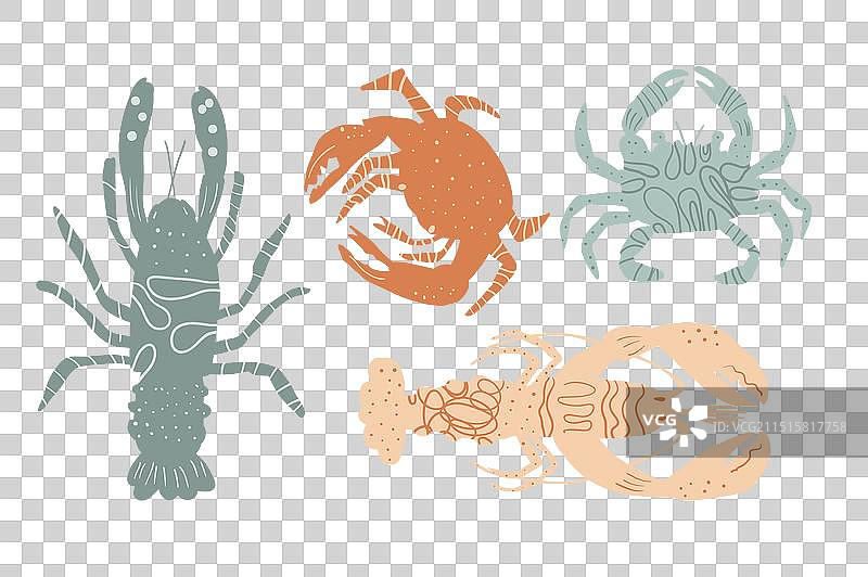 白色背景上的海洋甲壳类动物图片素材