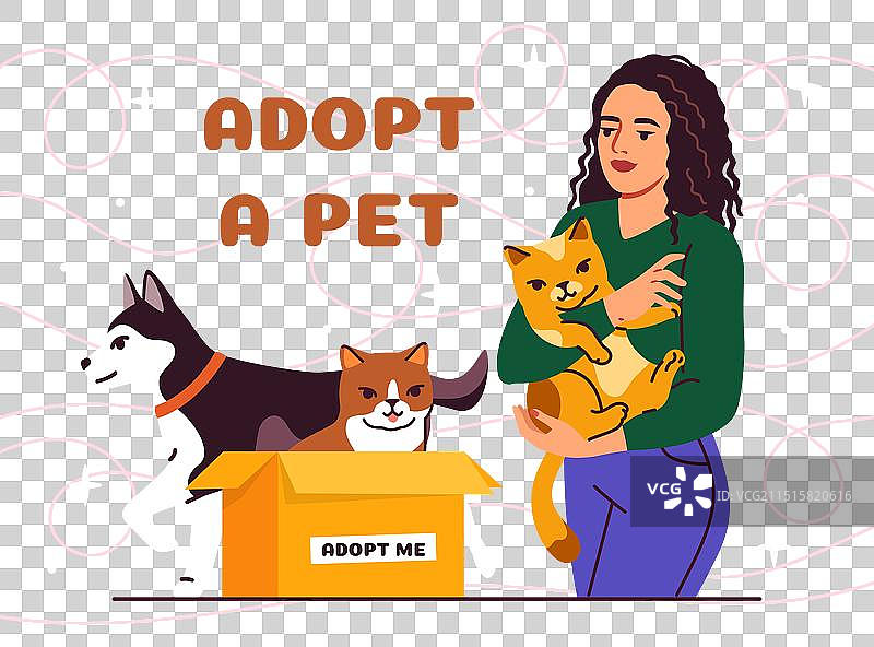 关爱收容动物：女性的爱心呵护图片素材