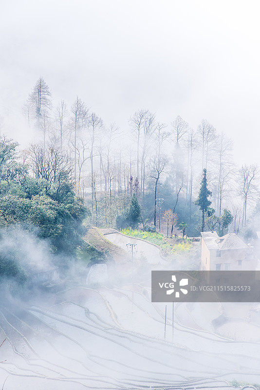 云雾仙境哈尼村寨梯田图片素材