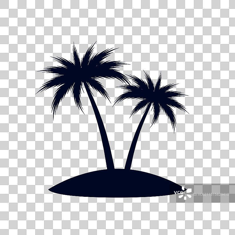 热带棕榈树图片素材