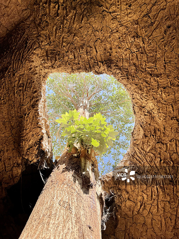 吐鲁番坎儿井民俗园图片素材