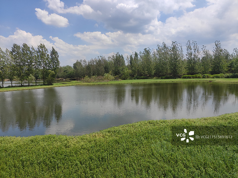 夏天湖边的风景照图片素材