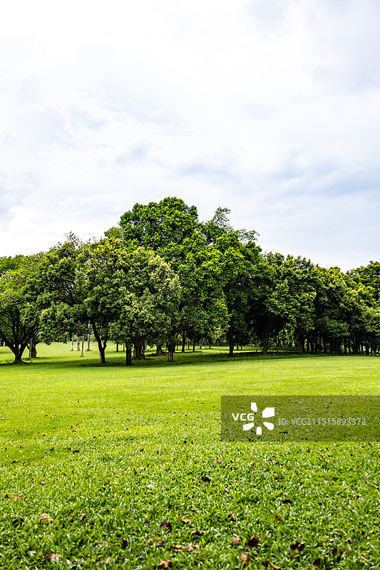 东莞植物园图片素材