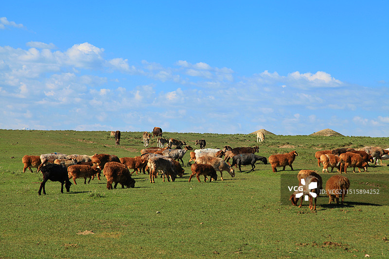 草原风光-新疆伊犁图片素材