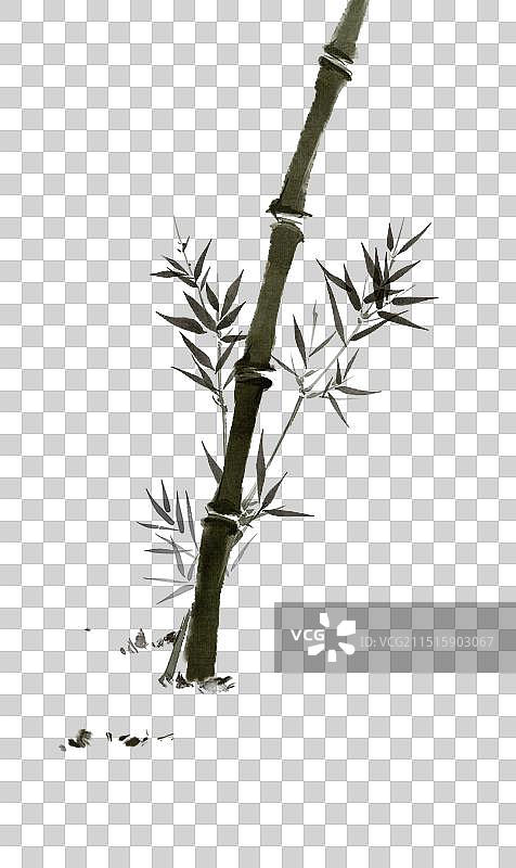 竹子竹叶—国画写意古风水墨元素图片素材