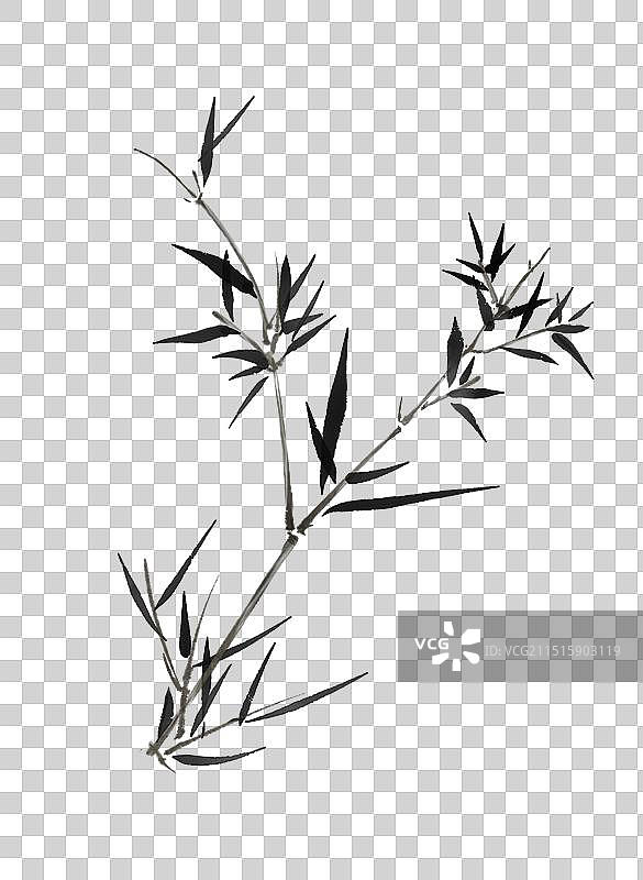 竹子竹叶—国画写意古风水墨元素图片素材