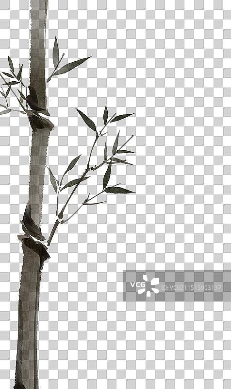 竹子竹叶—国画写意古风水墨元素图片素材