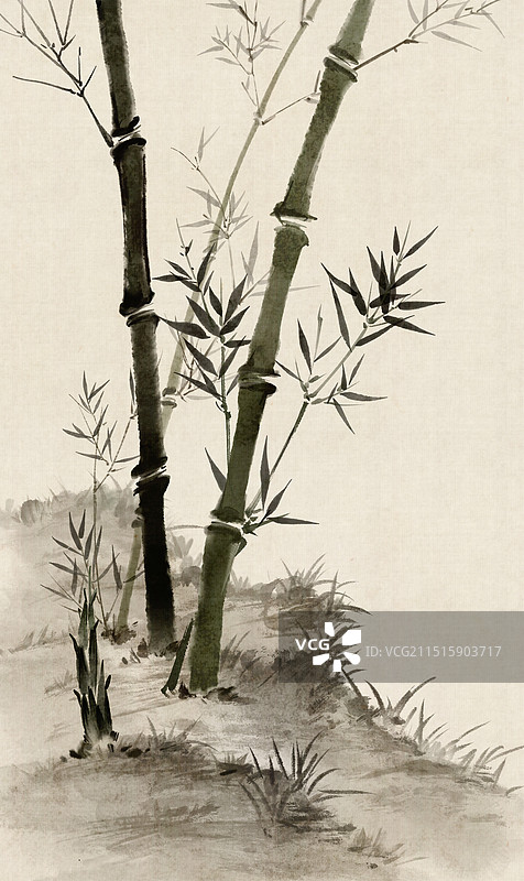 竹林竹子竹叶—国画写意古风水墨插画图片素材