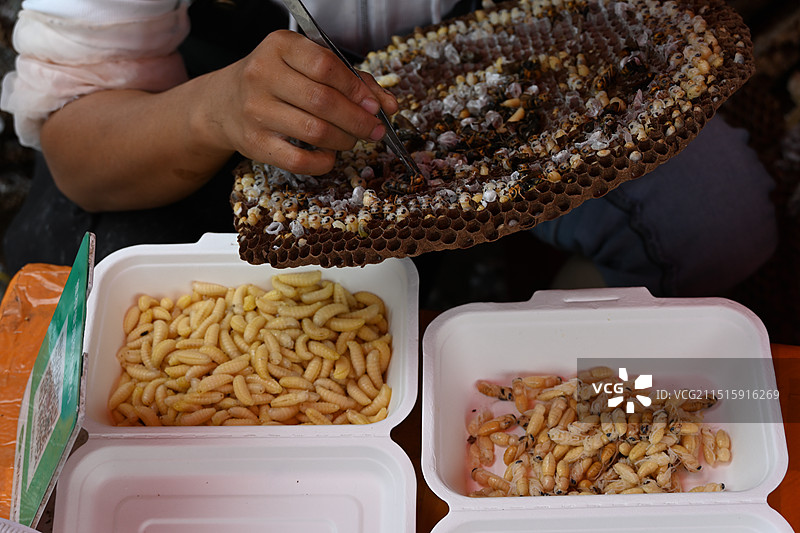 云南昆明水木花野生菌市场-卖蜂蛹的摊位图片素材