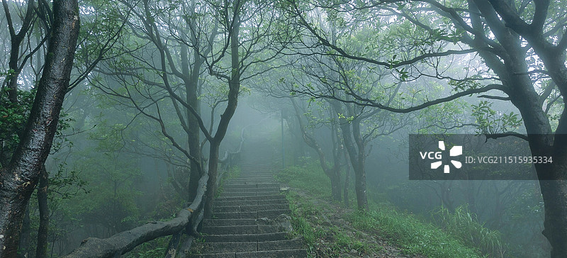 云雾弥漫的梧桐山图片素材
