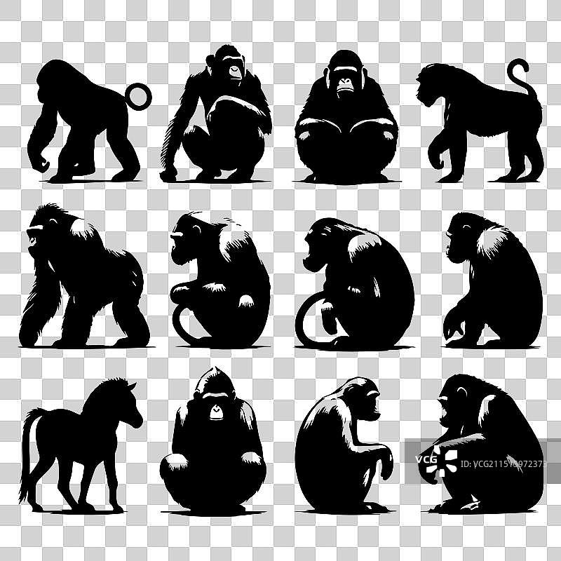 剪影猿猴动物集合图片素材