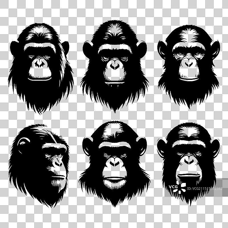 猿猴动物头像剪影套装图片素材