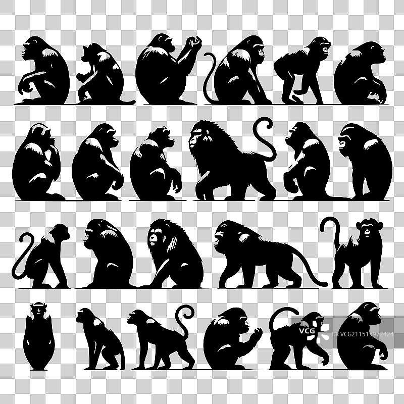 剪影猿猴动物集合图片素材