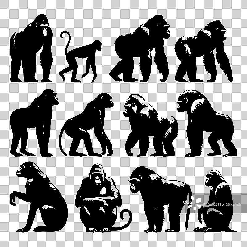 剪影猿猴动物集合图片素材