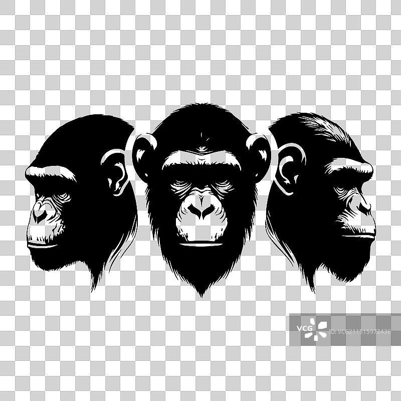猿猴动物头像剪影套装图片素材