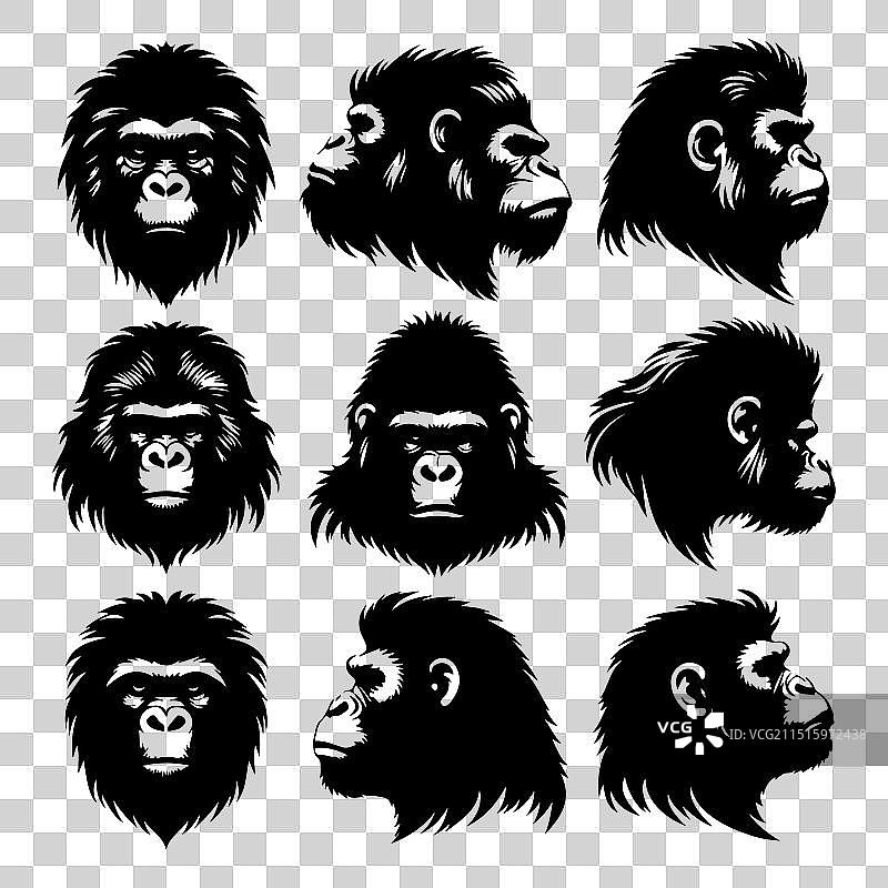 猿猴动物头像剪影套装图片素材
