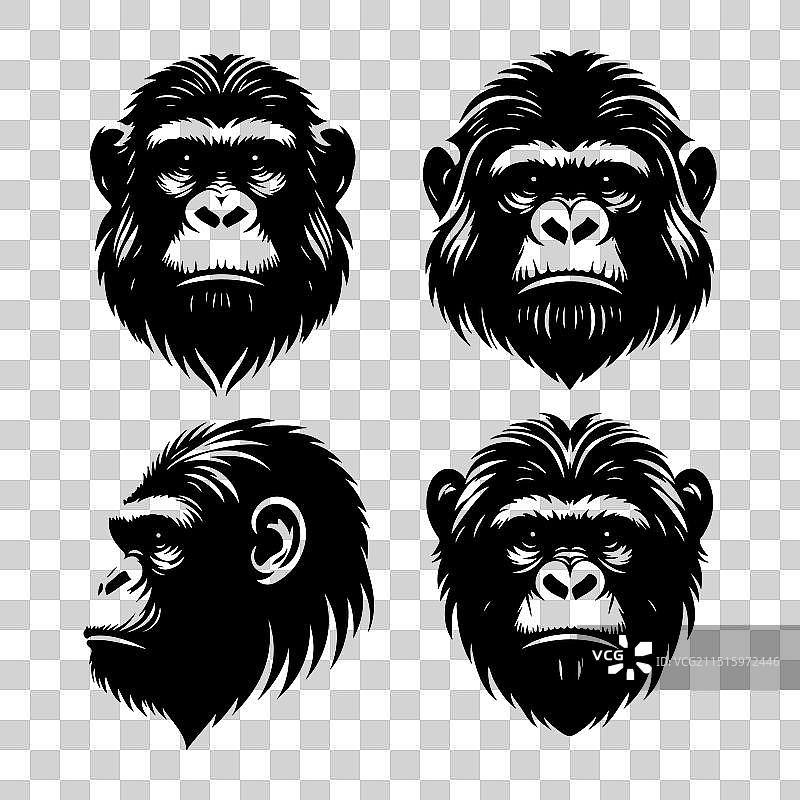 猿猴动物头像剪影套装图片素材