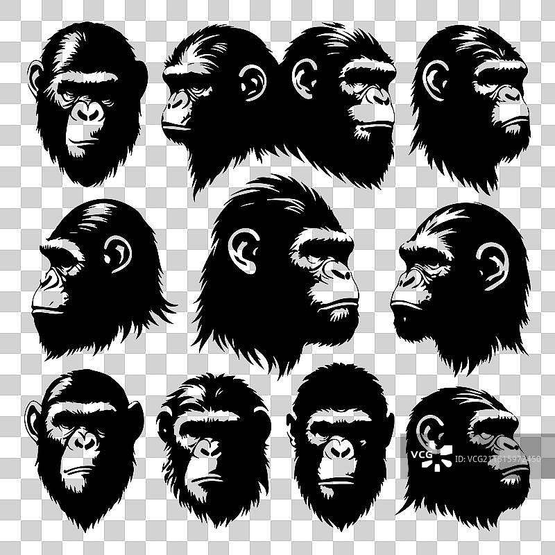 猿猴动物头像剪影套装图片素材