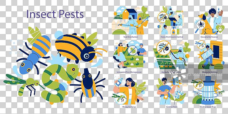 扁平害虫图片素材