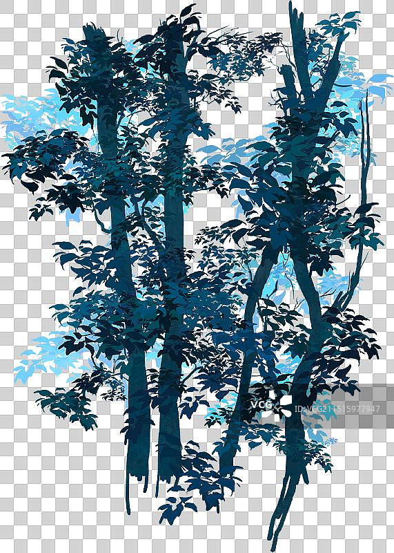 夜晚树林里的树木图片素材