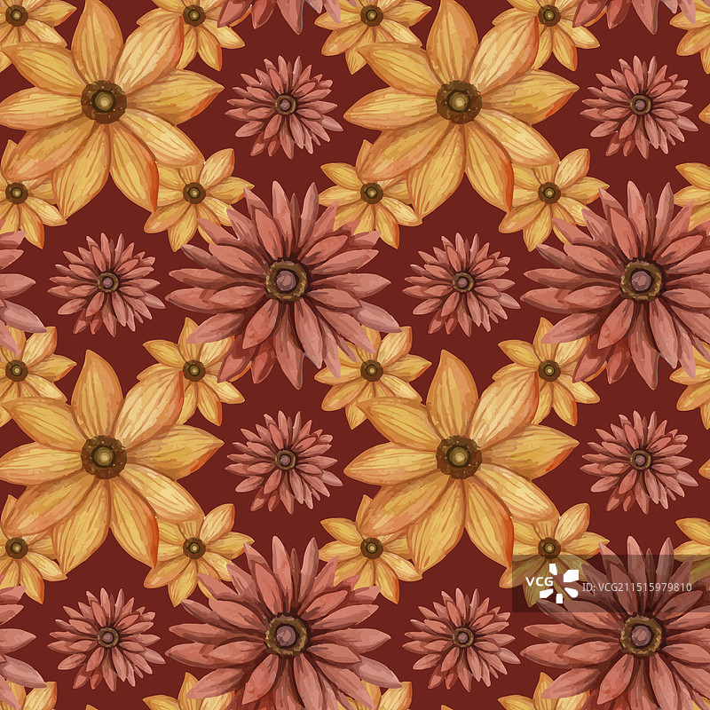 秋季花卉：紫菀和金光菊图片素材