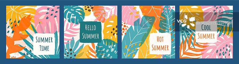 热带植物花卉四方卡片套装图片素材