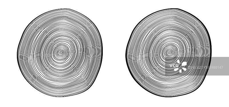 树木年轮绘画图案图片素材
