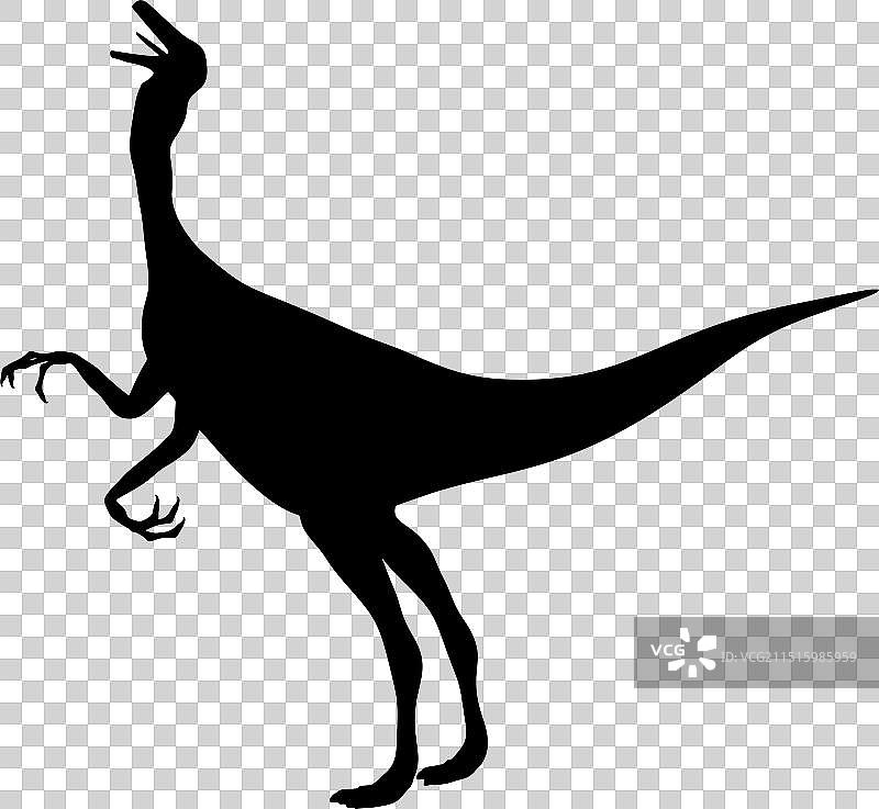 恐龙似鸡龙剪影图片素材