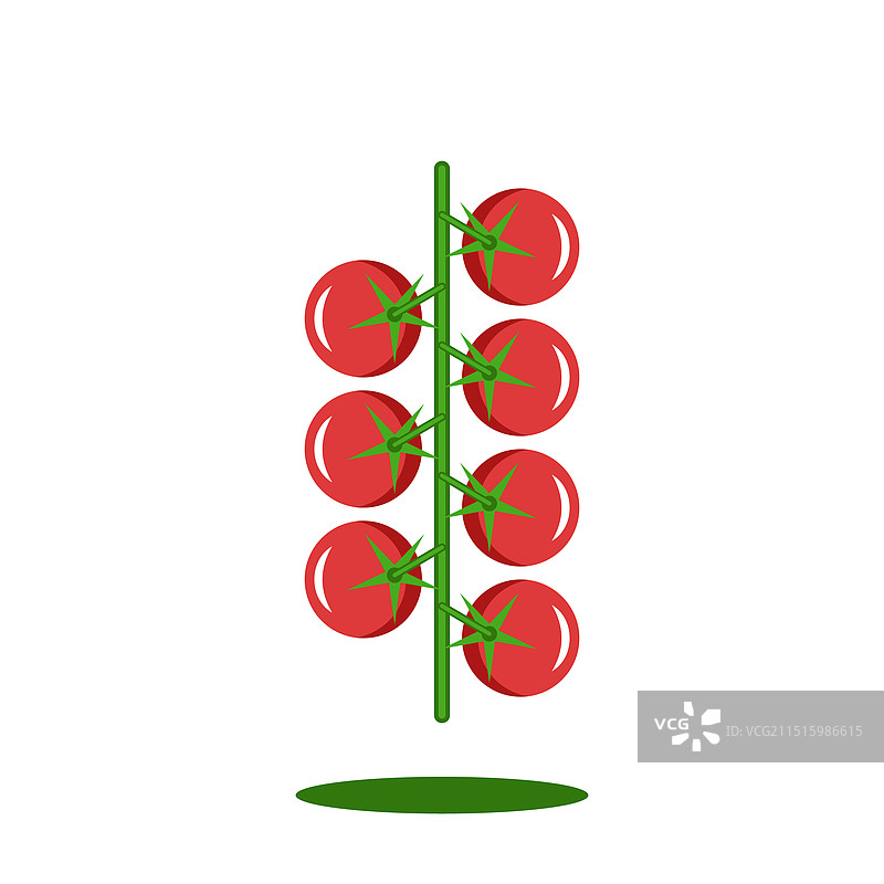 樱桃番茄标志，小圆形，新鲜图片素材