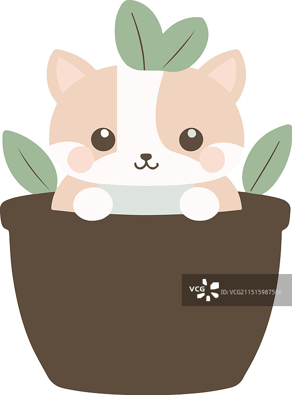 花盆中的幼犬图片素材