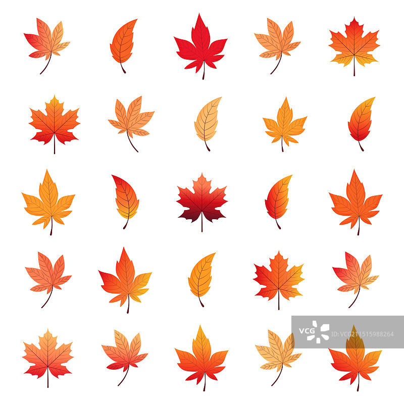 白色背景上的秋叶素材图片素材