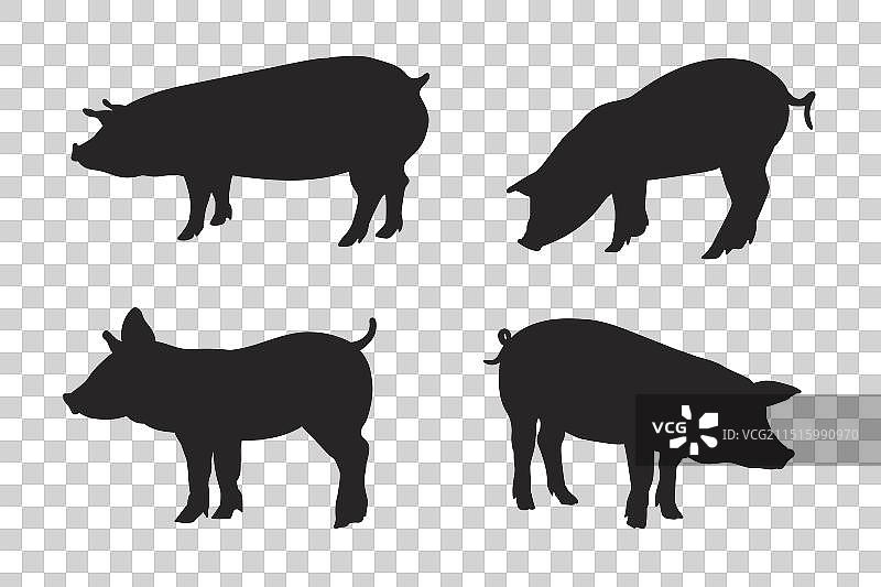 四个不同姿势的猪剪影图片素材